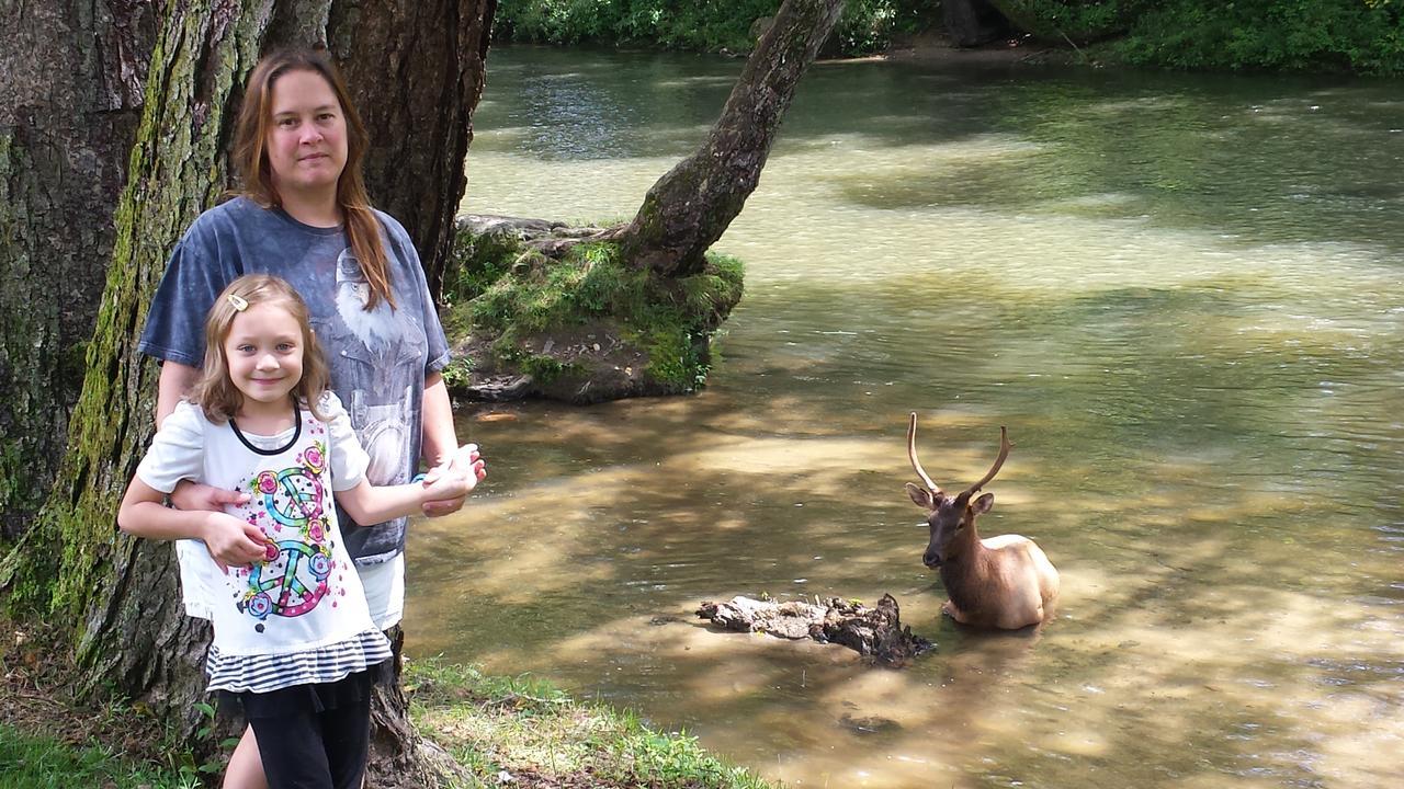 Two Rivers 2* Bryson City